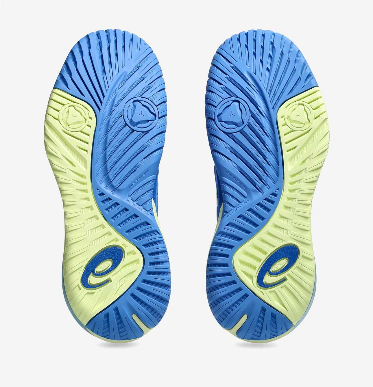 ASICS Gel-Resolution X Kadın Toprak Kort Tenis Ayakkabısı 1042A279-400 - 2